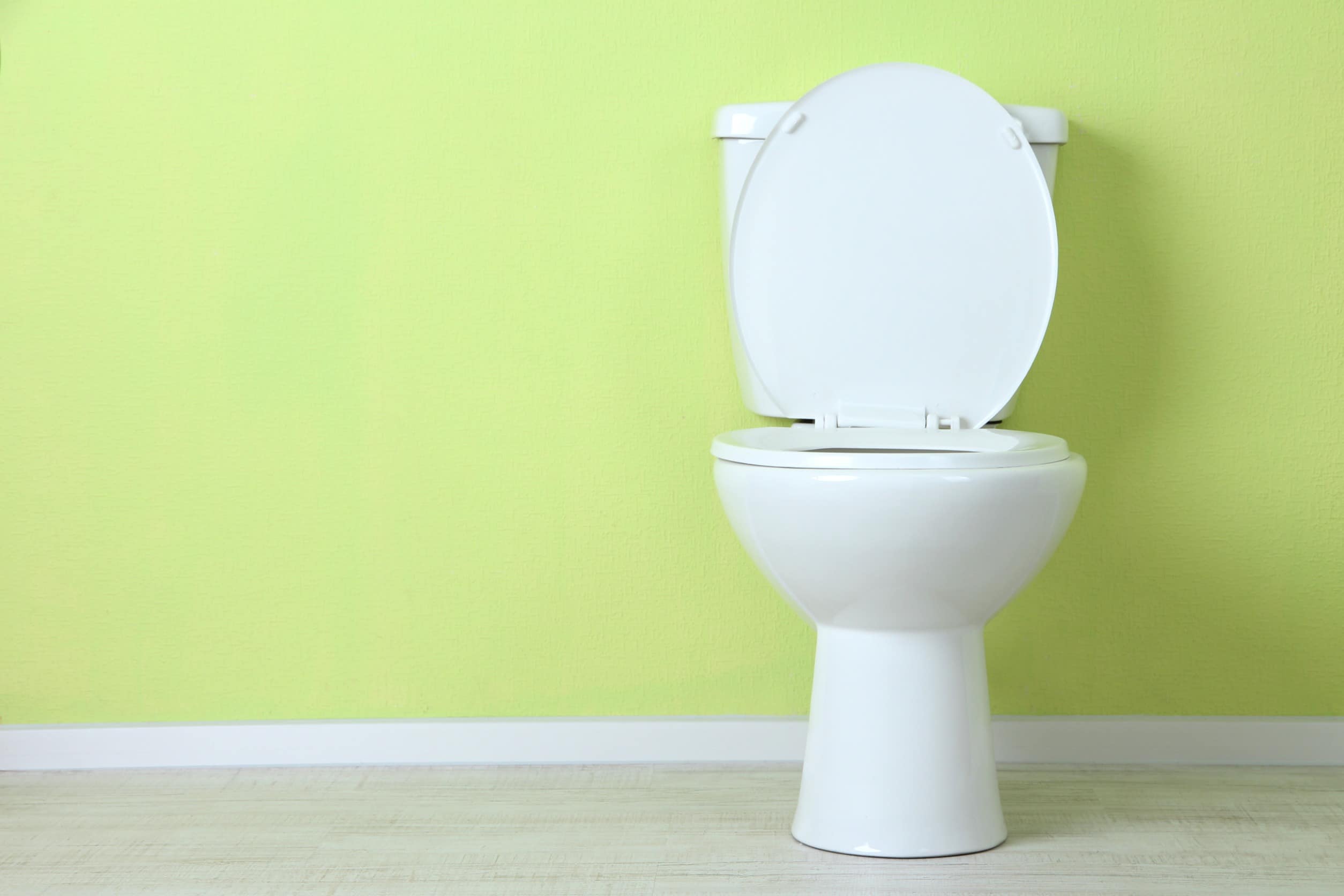 gurgling toilet in santa cruz ca