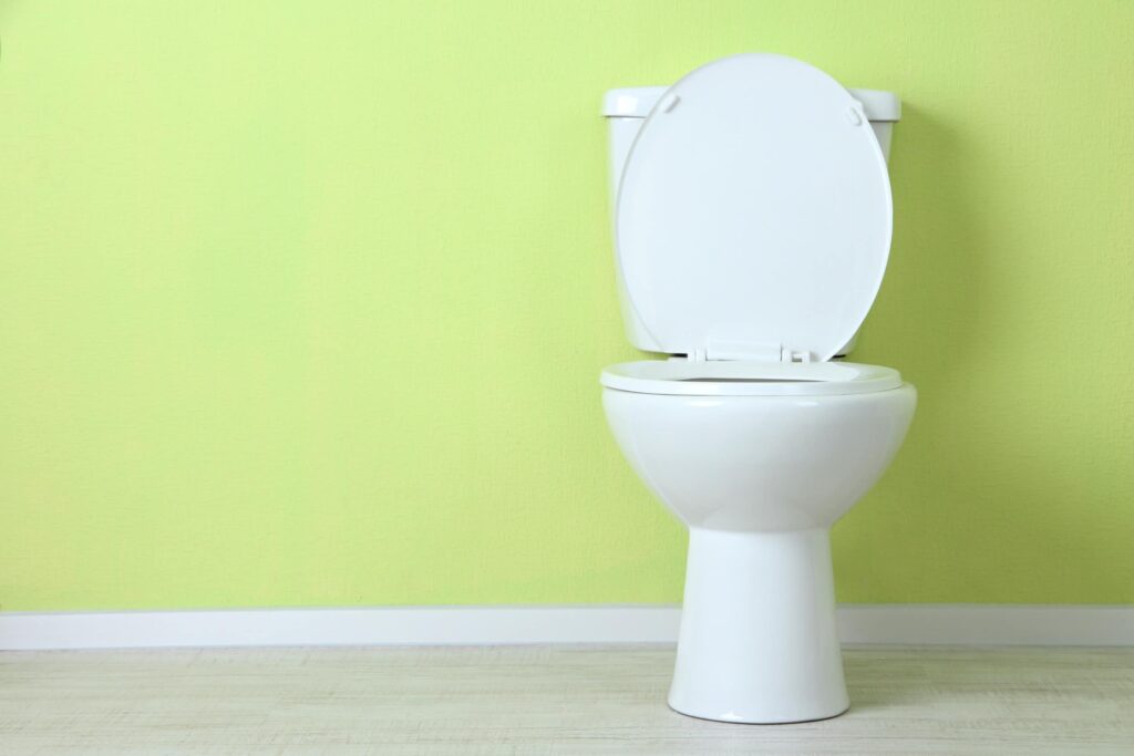 gurgling toilet in santa cruz ca